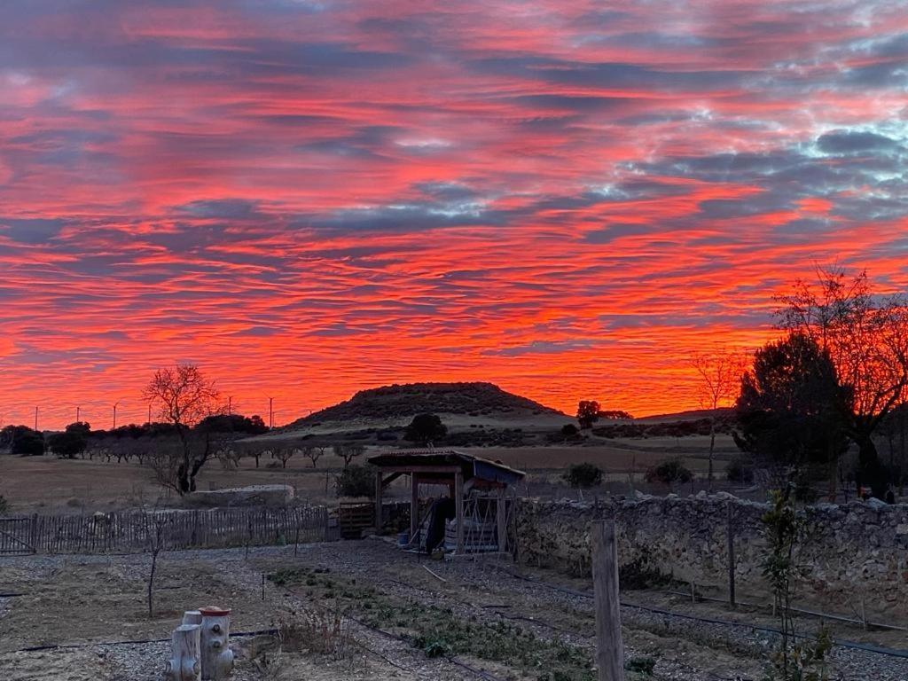 Finca Las Botas Almansa Kültér fotó