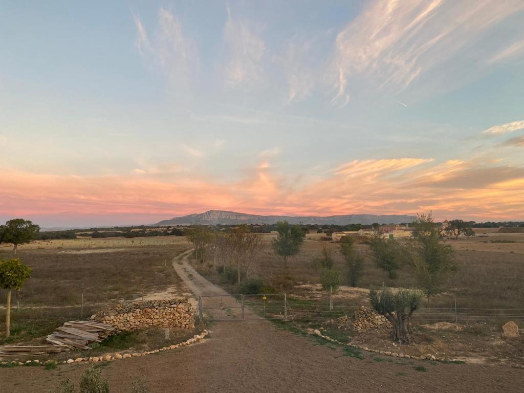 Finca Las Botas Almansa Kültér fotó