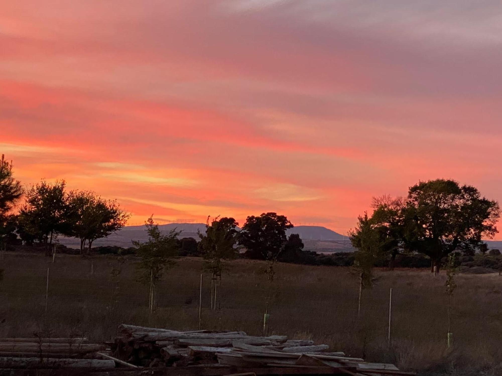 Finca Las Botas Almansa Kültér fotó